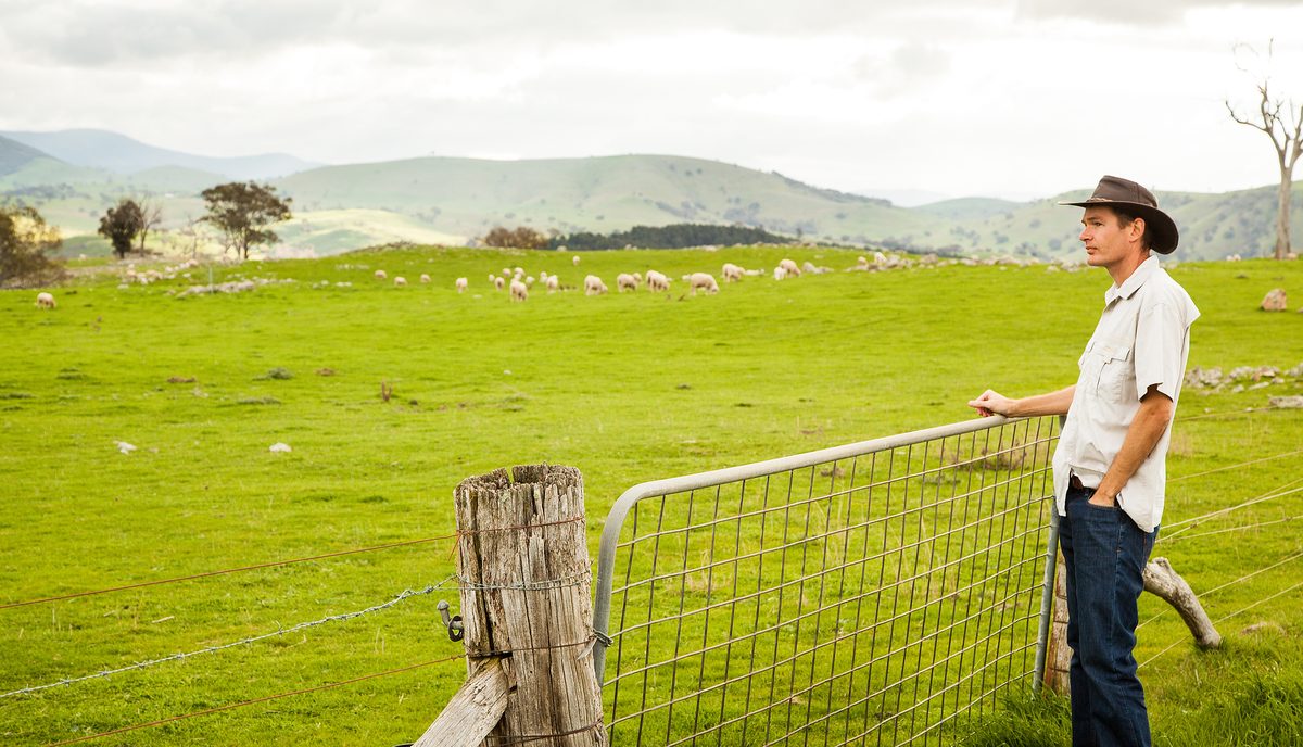 Landholder at a fence line looking out over grazing country