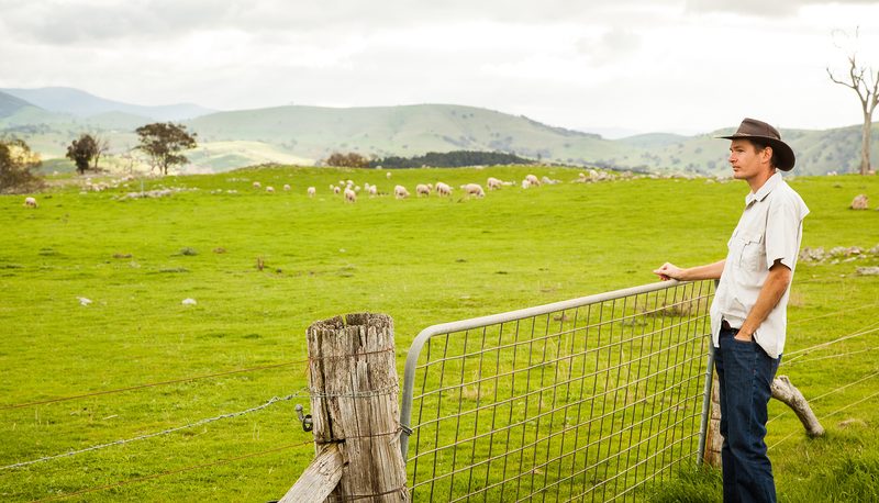Landholder at a fence line looking out over grazing country